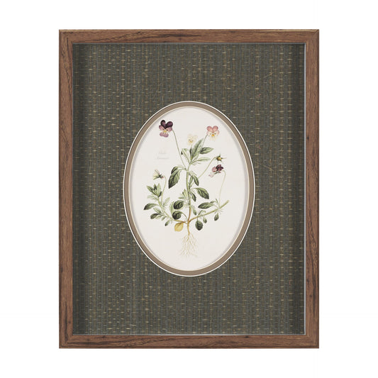 BOTANICAL II
