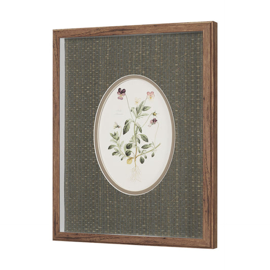 BOTANICAL II