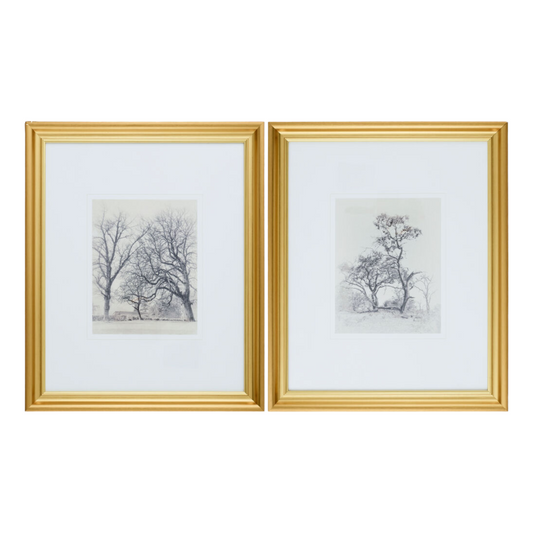 BARREN TREES