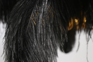Denali Black Feather Chandelier