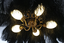 Load image into Gallery viewer, Denali Black Feather Chandelier