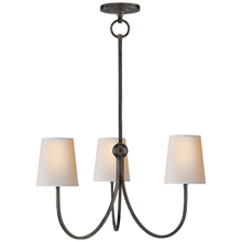 Load image into Gallery viewer, Reid Chandelier
